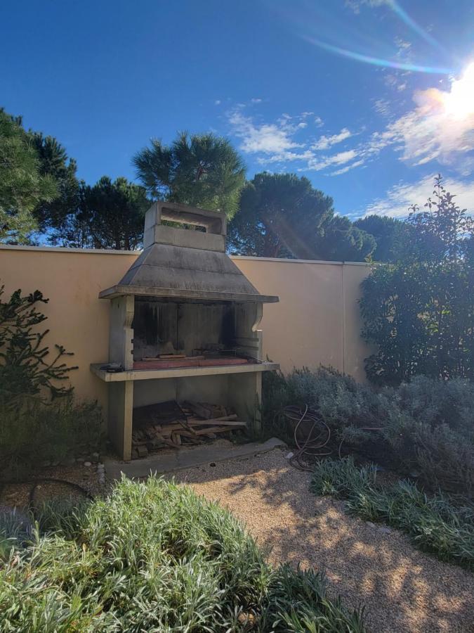 Bear Apartment